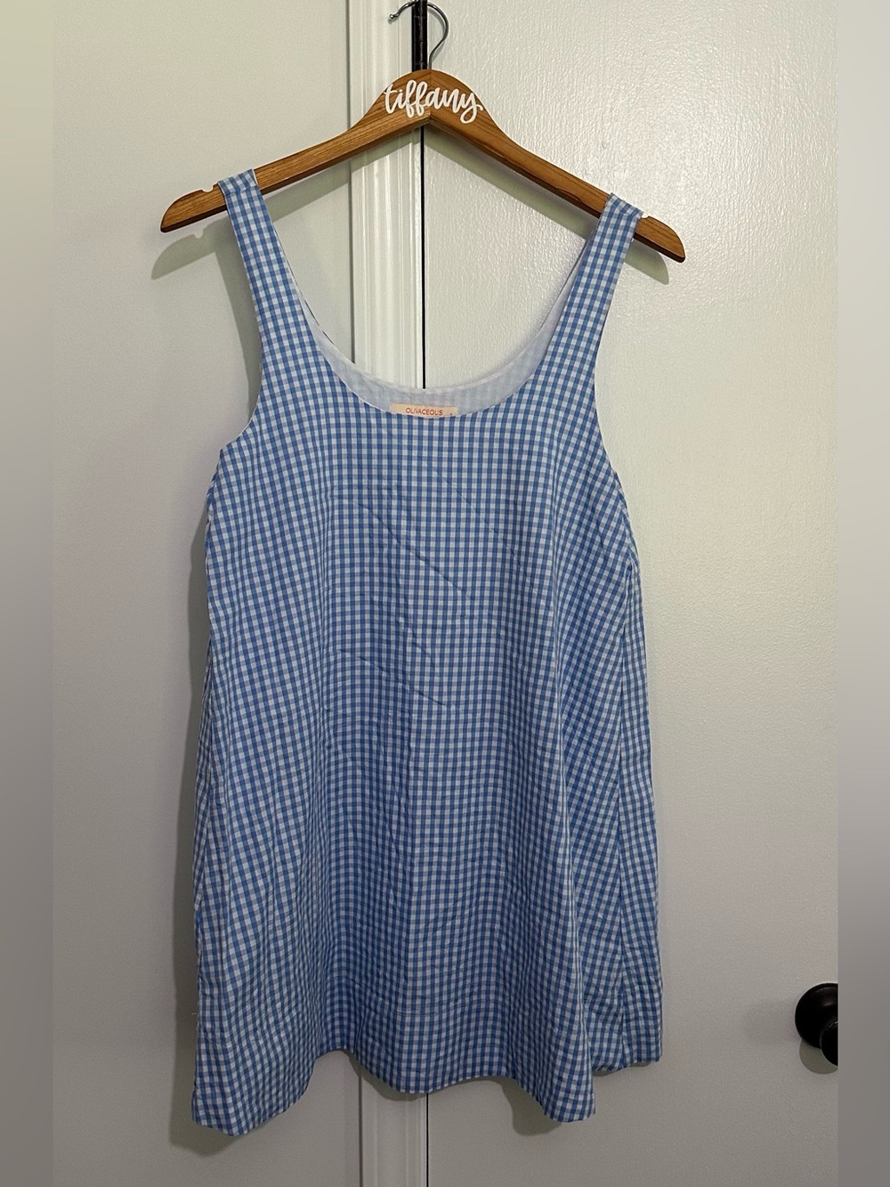 Olivaceous Blue Gingham Dress